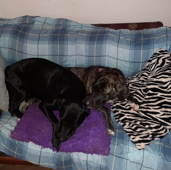 Meet your Posher, Aczes - Picture 2 of 3